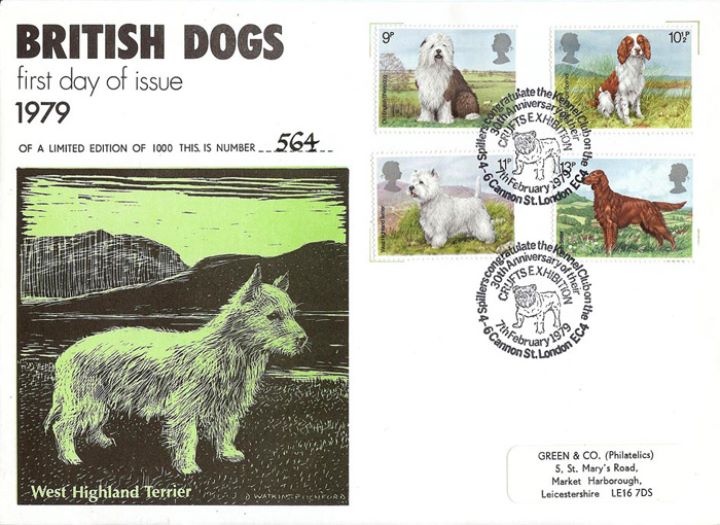 British Dogs, Welsh Highland Terrier