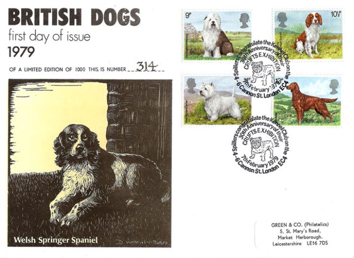 British Dogs, Welsh Springer Spaniel