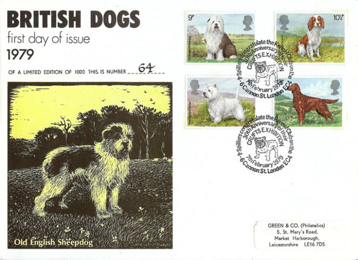 British Dogs, Old English Sheepdog