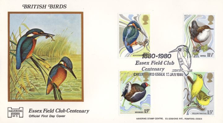 British Birds 1980, Essex Field Club