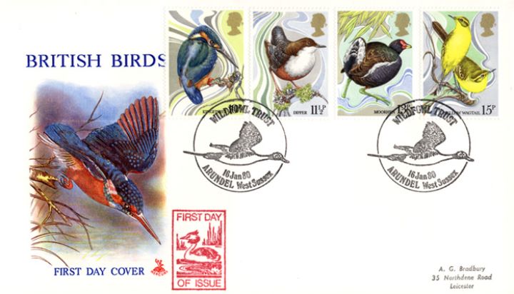 British Birds 1980, Kingfisher in Action