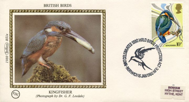 British Birds 1980, Kingfisher