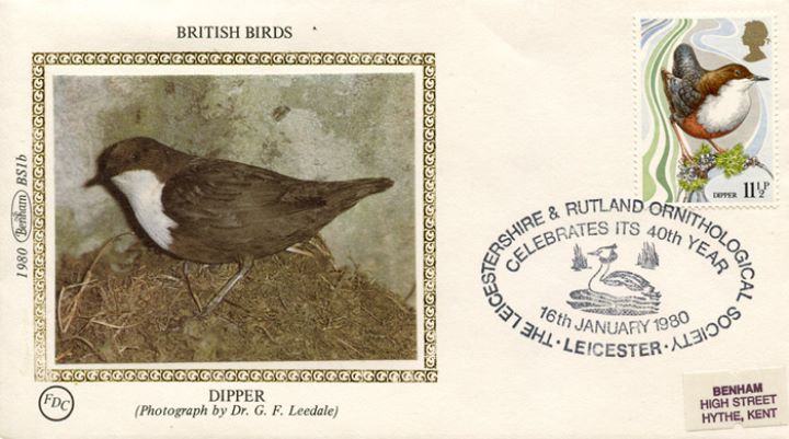 British Birds 1980, Dipper