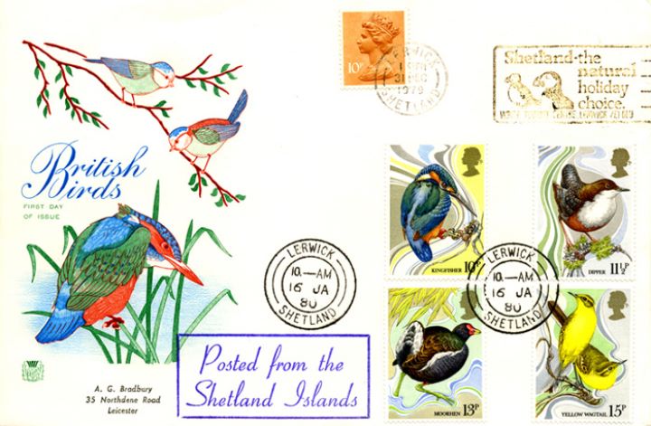 British Birds 1980, Posted from the Shetlands