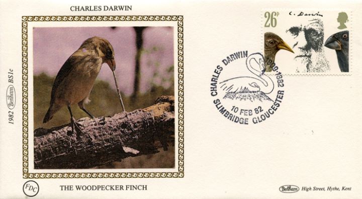 Charles Darwin, The Woodpecker Finch