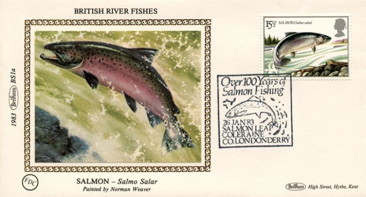 Freshwater Fish, Salmon