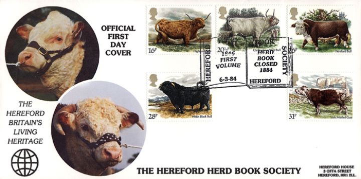 British Cattle, Hereford Herd Book Soc