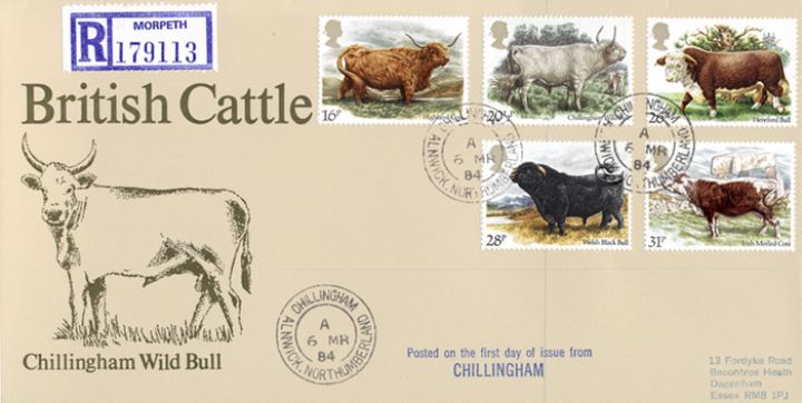 British Cattle, Chillingham Wild Bull