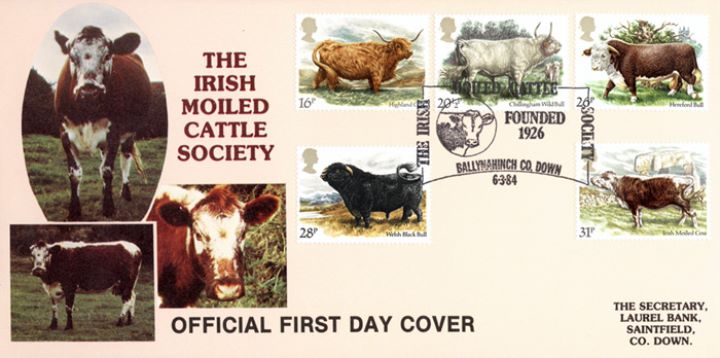 British Cattle, Irish Moiled Cow Society