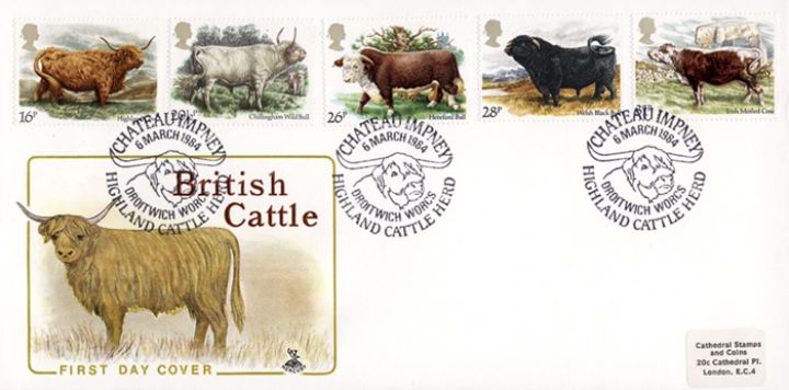 British Cattle, Highland Cattle