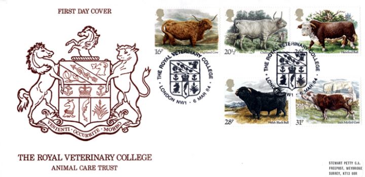 British Cattle, Royal Veterinary College