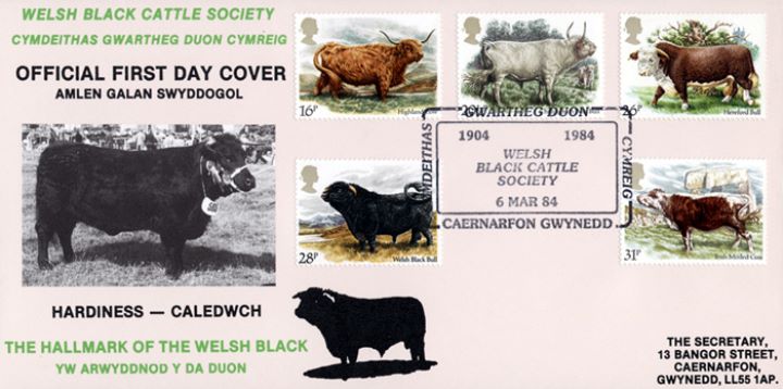 British Cattle, Welsh Black Cattle Society