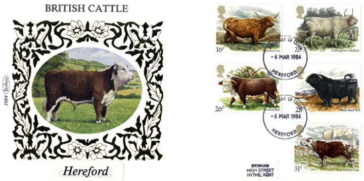 British Cattle, Hereford Bull