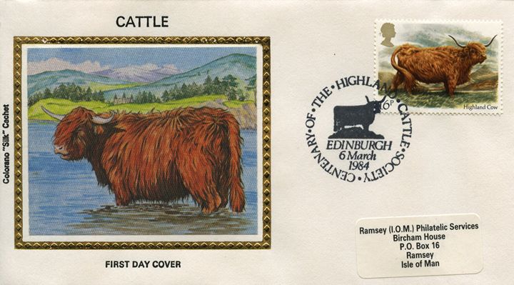 British Cattle, Highland Cattle