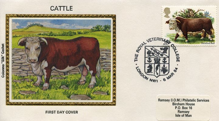 British Cattle, Hereford Bull