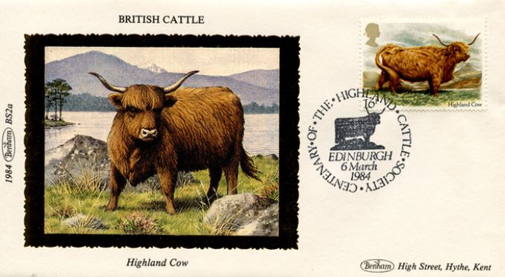 British Cattle, Highland Cow