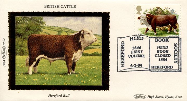 British Cattle, Hereford Bull