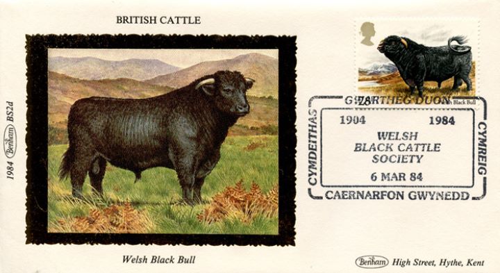 British Cattle, Welsh Black Cattle