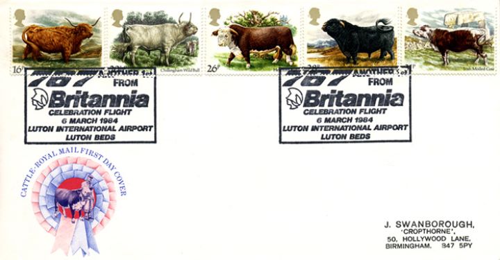 British Cattle, Britannia Celebration Flight