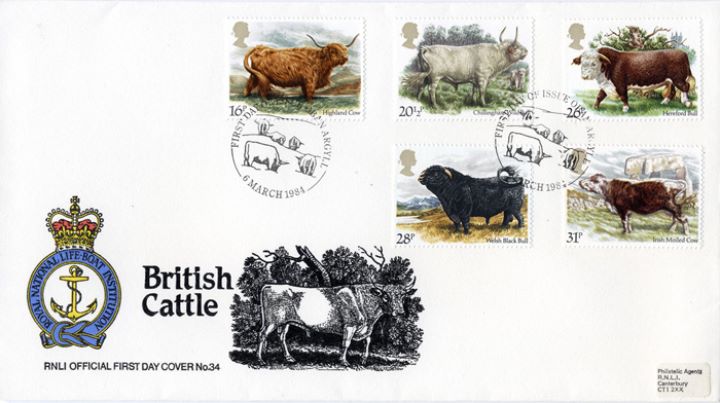 British Cattle, RNLI Official