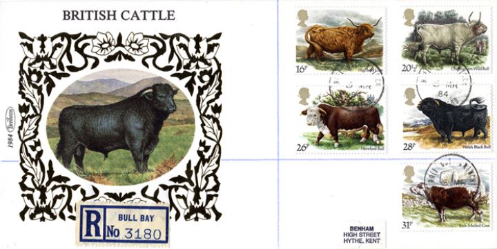 British Cattle, Welsh Black Cattle