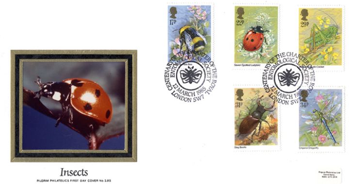 British Insects, Ladybird