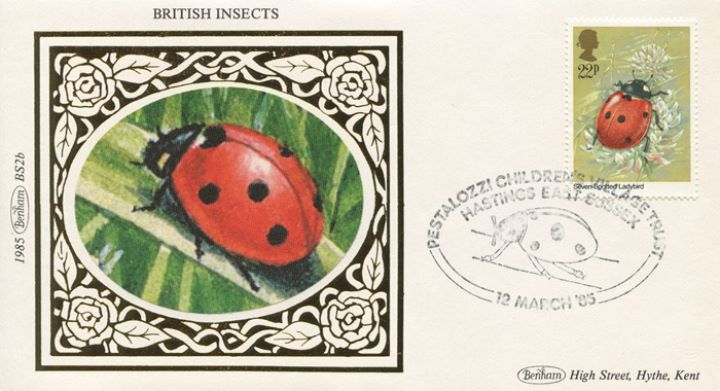 British Insects, Ladybird