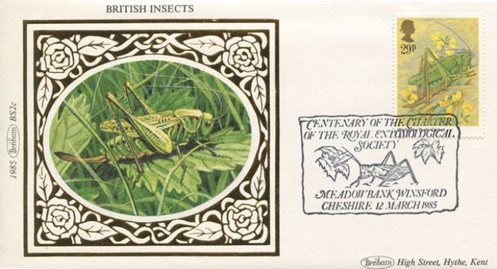 British Insects, Bush-Cricket