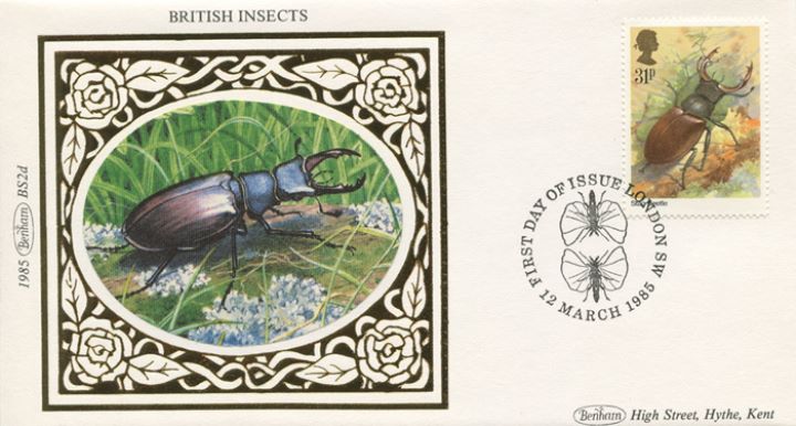 British Insects, Stag Beetle