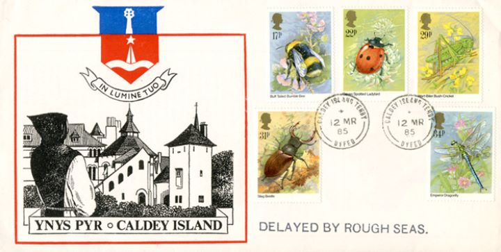 British Insects, Caldey Island