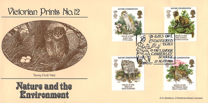 Species at Risk, Tawny Owls' Nest