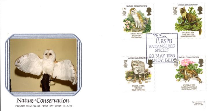 Species at Risk, The Barn Owl