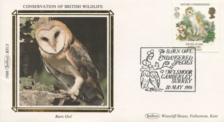 Species at Risk, Barn Owl