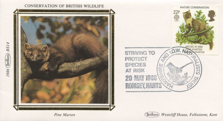 Species at Risk, Pine Marten