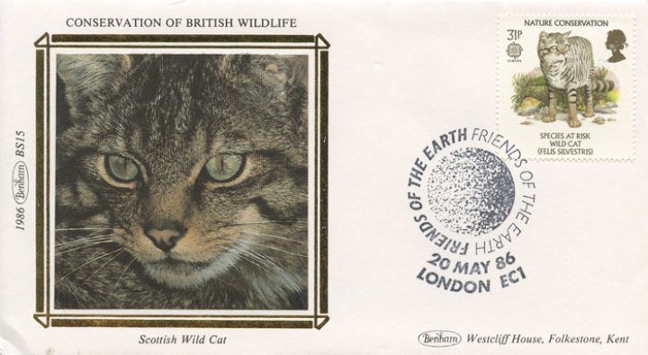 Species at Risk, Scottish Wild Cat