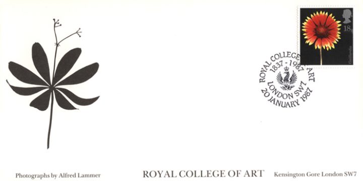 Flowers, Royal College of Art