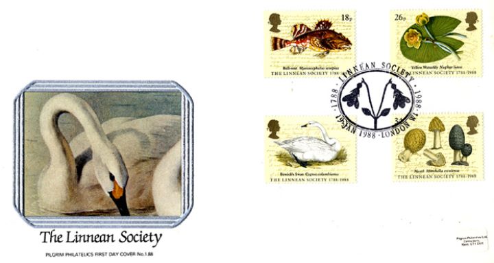 Linnean Society, Swan