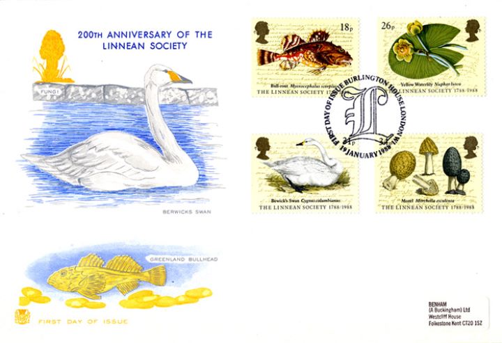 Linnean Society, Bewicks Swan and Greenland Bullhead