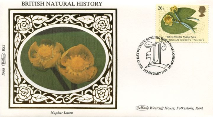 Linnean Society, Yellow Waterlily