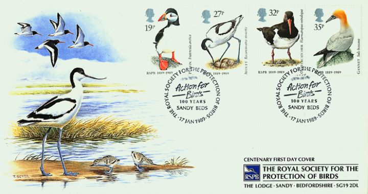 Sea Birds, RSPB Action for Birds Centenary