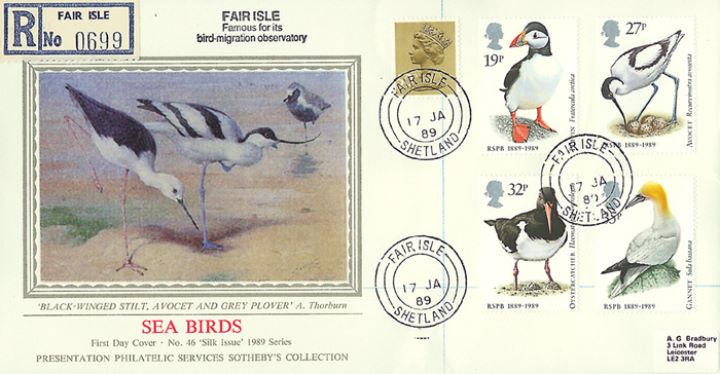 Sea Birds, Stilt,  Avocet &  Plover