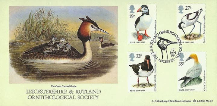 Sea Birds, Leics & Rutland Ornithological Soc