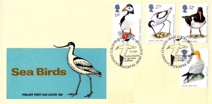 Sea Birds, The Avocet - emblem of RSPB