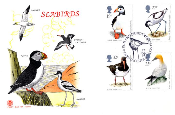 Sea Birds, Puffin and other Seabirds