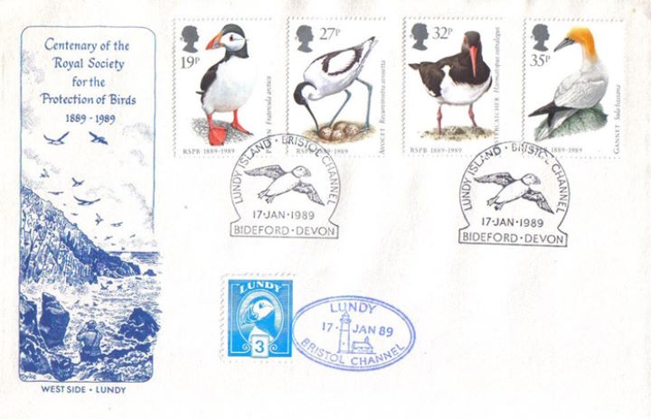 Sea Birds, West Side - Lundy