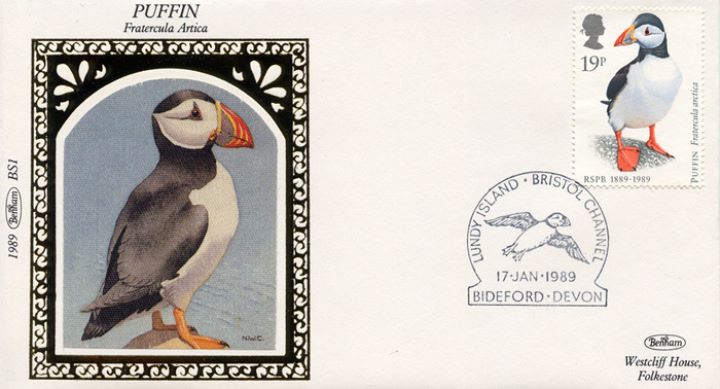 Sea Birds, Puffin