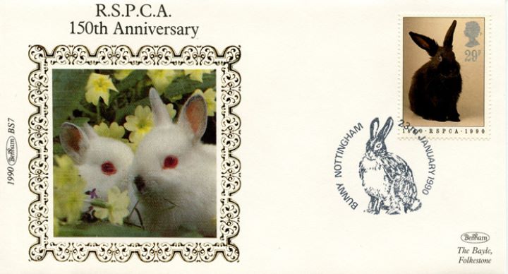 RSPCA, Bunny rabbits