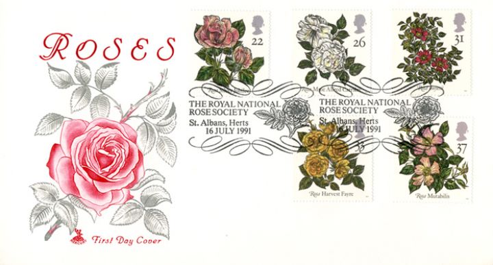 Roses 1991, Pink Red Rose