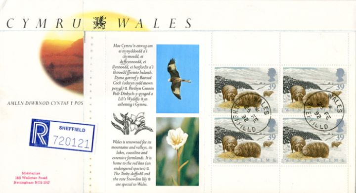 PSB: Cymru-Wales - Pane 1, Welsh Sheep