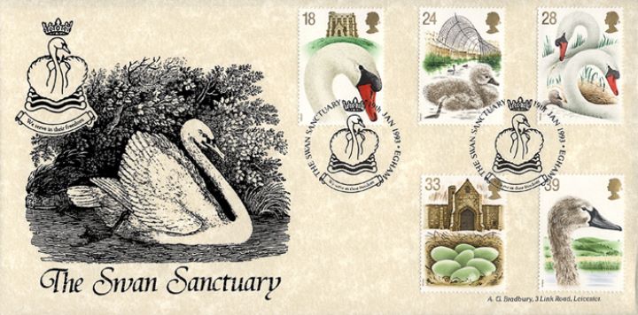 Swans, Swan Sancturary